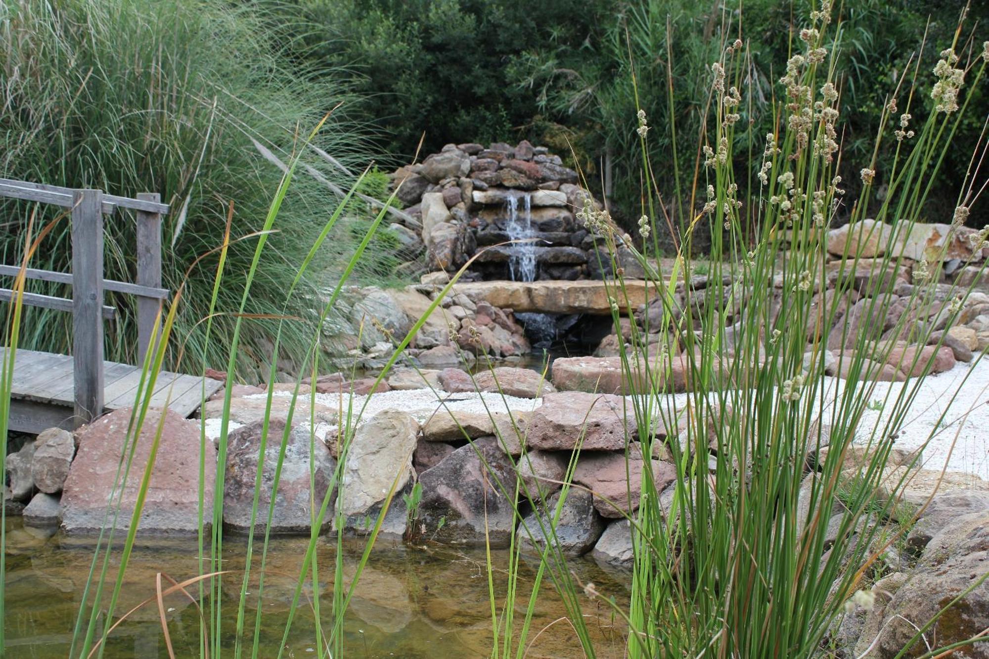 Quinta Japonesa Bed & Breakfast Carvalhal Bemfeito Exterior photo