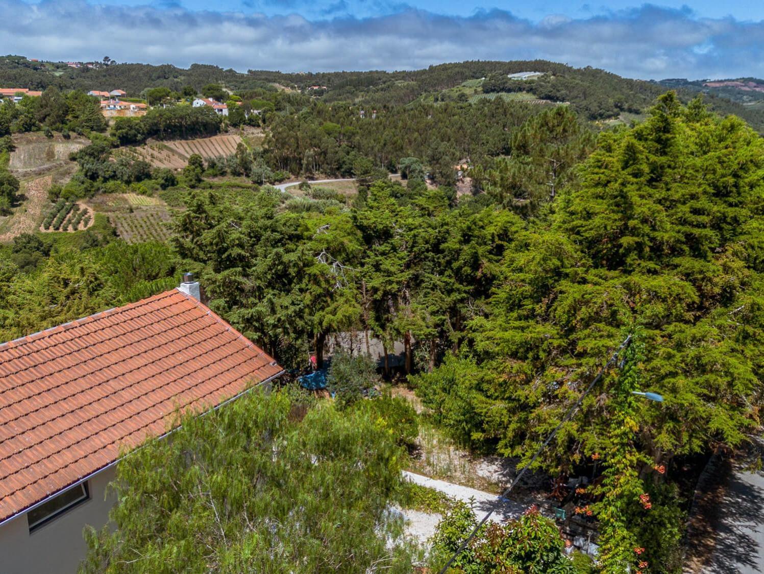 Quinta Japonesa Bed & Breakfast Carvalhal Bemfeito Exterior photo
